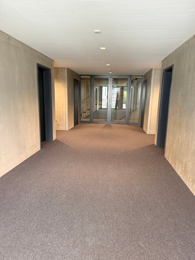 Neubau - Diverse Moderne Büroräume (7)