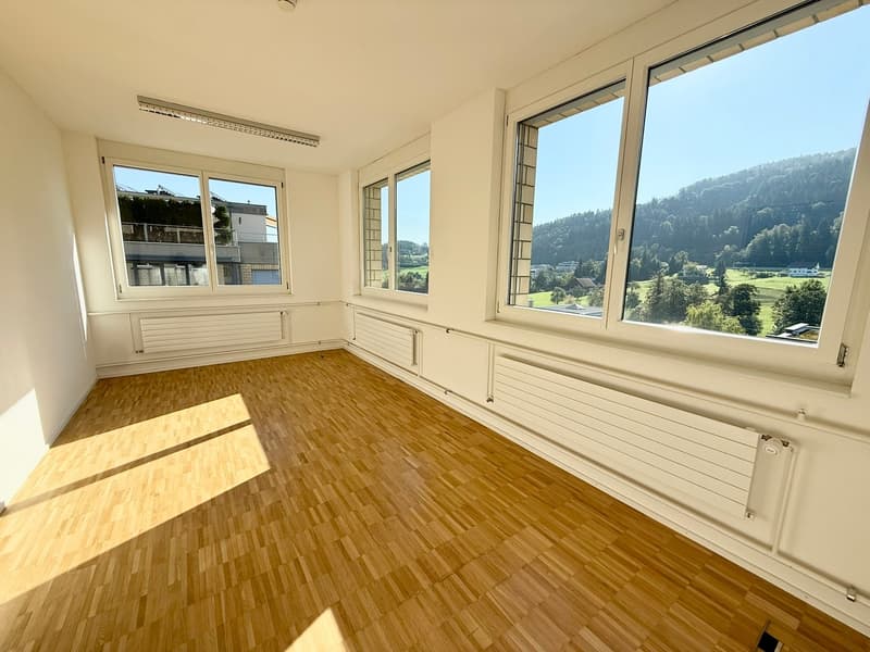 Grosszügige Gewerbe-/Bürofläche an zentraler Lage in Pfäffikon SZ (1)