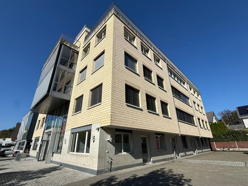 Grosszügige Gewerbe-/Bürofläche an zentraler Lage in Pfäffikon SZ (15)