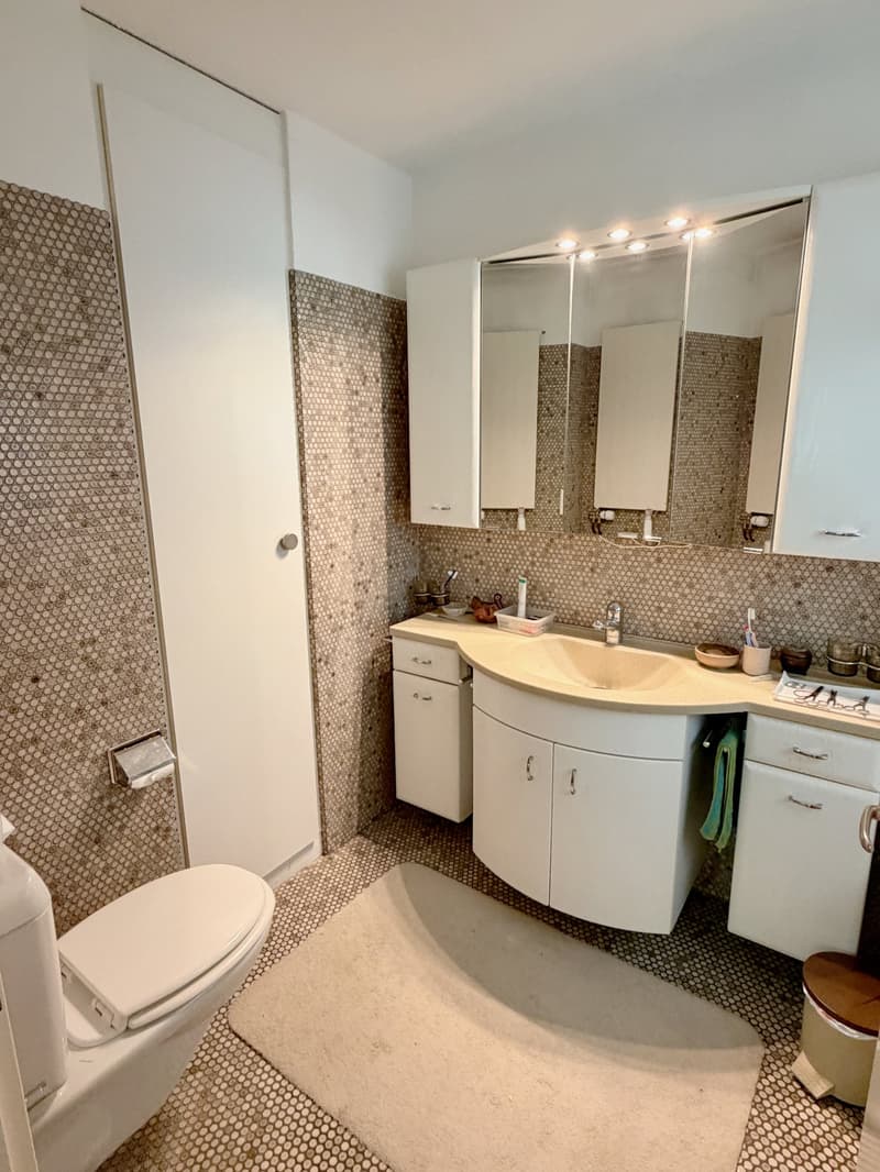 Charmante 4.5-Zimmerwohnung mit grossem Balkon an idyllischer Lage (6)