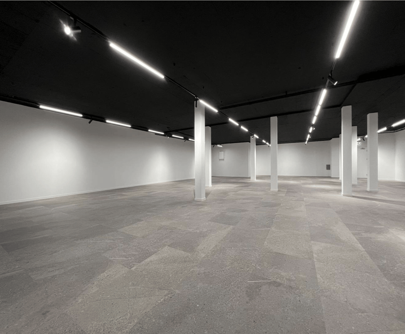 Espace commercial attractif au cœur de Beromünster – polyvalent et rentable (3)