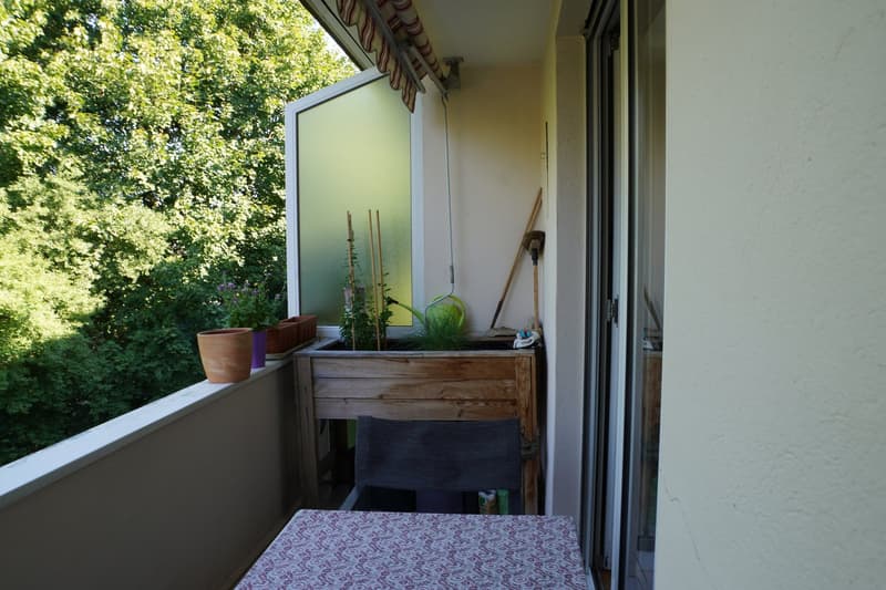 Charmante 4-Zimmer-Wohnung mit Balkon in Riehen (3)
