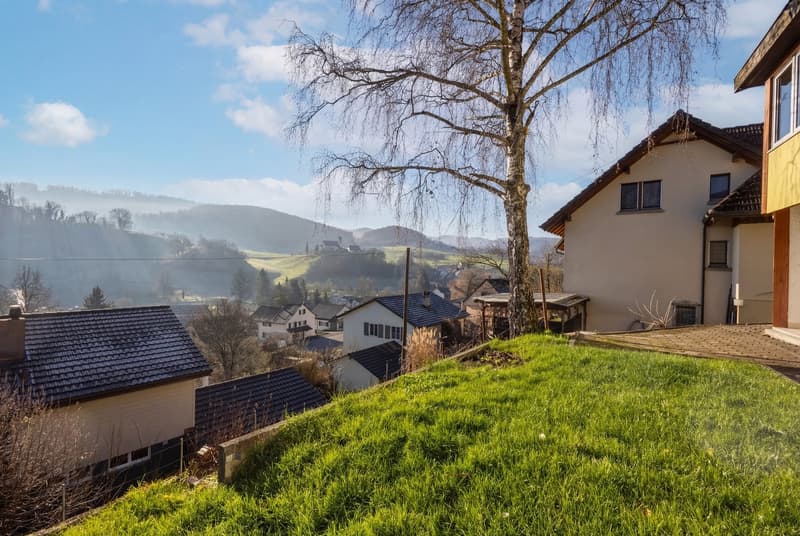 Detached single-family house with a large garden in Ziefen! (5)