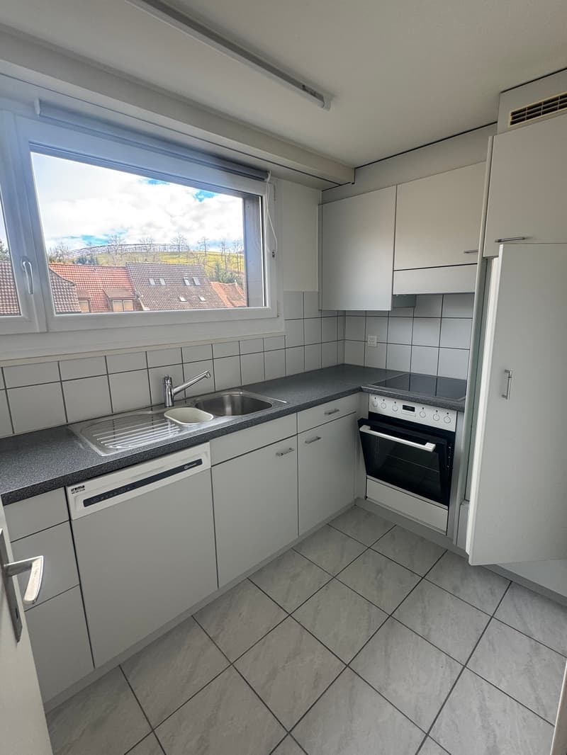 Appartement de 4 pièces rénové au cœur de Diegten! (3)