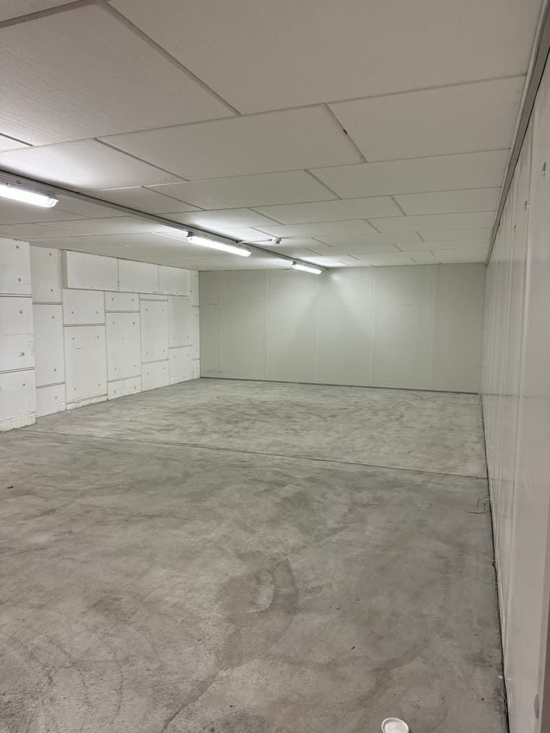 empty room with concrete floor, white walls, ceiling panels, ceiling lights