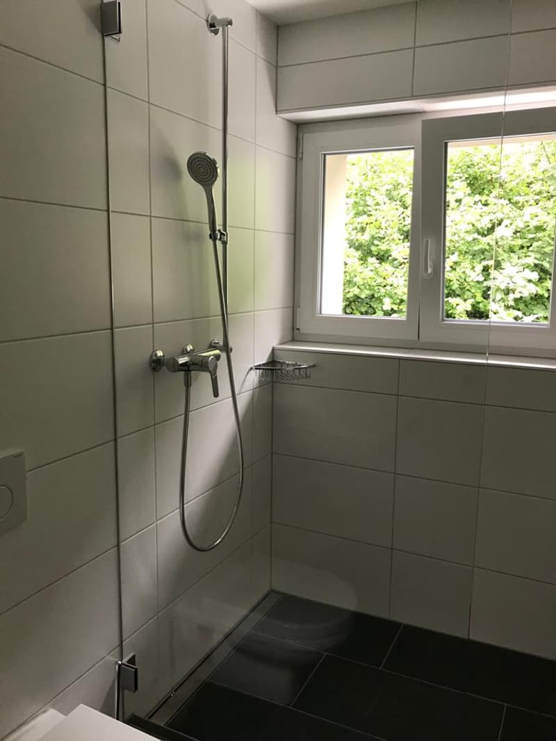 2-Zimmer-Dachgeschosswohnung per sofort verfügbar (10)