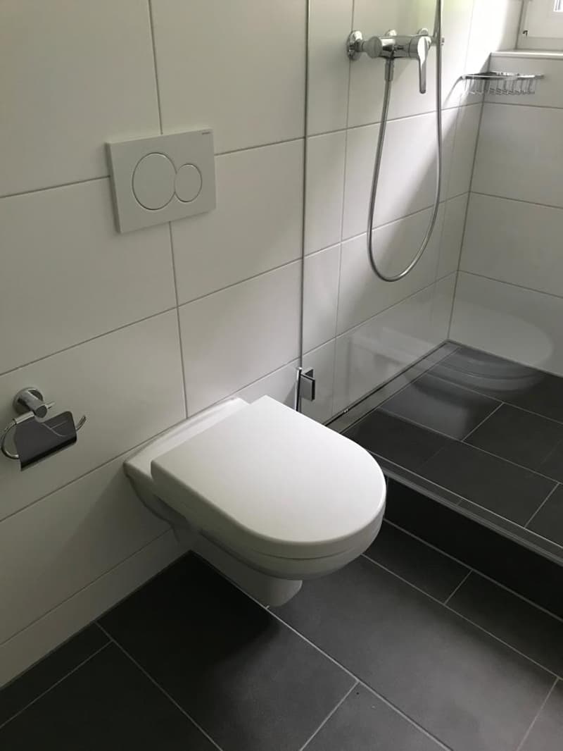 2-Zimmer-Dachgeschosswohnung per sofort verfügbar (9)