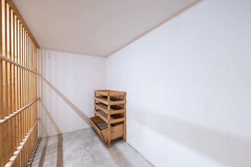 Charming 3.5-room apartment with balcony and underground parking space in Binningen (18)