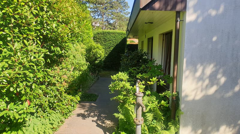 Charmante maison individuelle à Münchenstein ! (5)