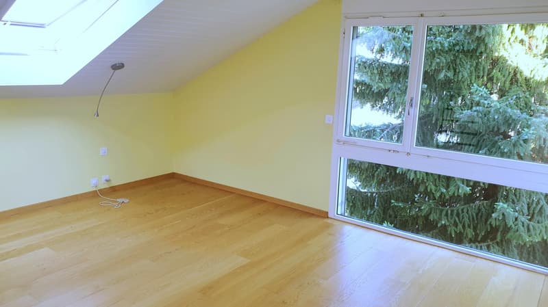Charmante maison individuelle à Münchenstein ! (21)