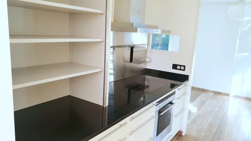 Charmante maison individuelle à Münchenstein ! (2)