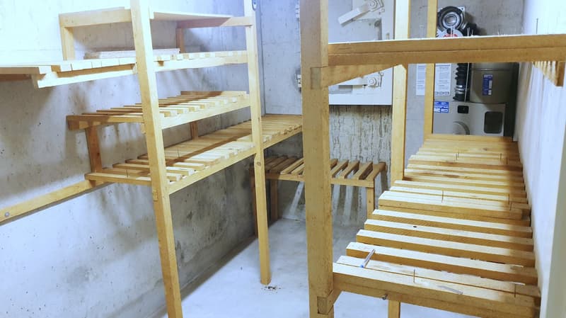 Charmante maison individuelle à Münchenstein ! (30)