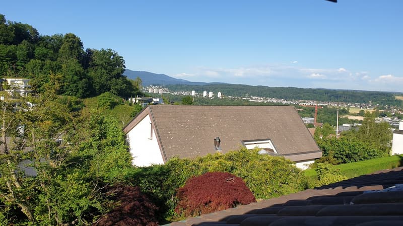 Charmante maison individuelle à Münchenstein ! (1)