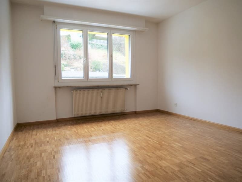 Appartement de 2 pièces confortable à Frenkendorf (3)