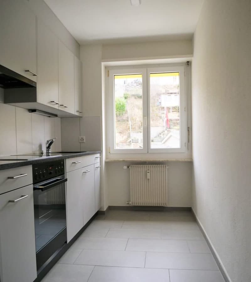 Appartement de 2 pièces confortable à Frenkendorf (2)