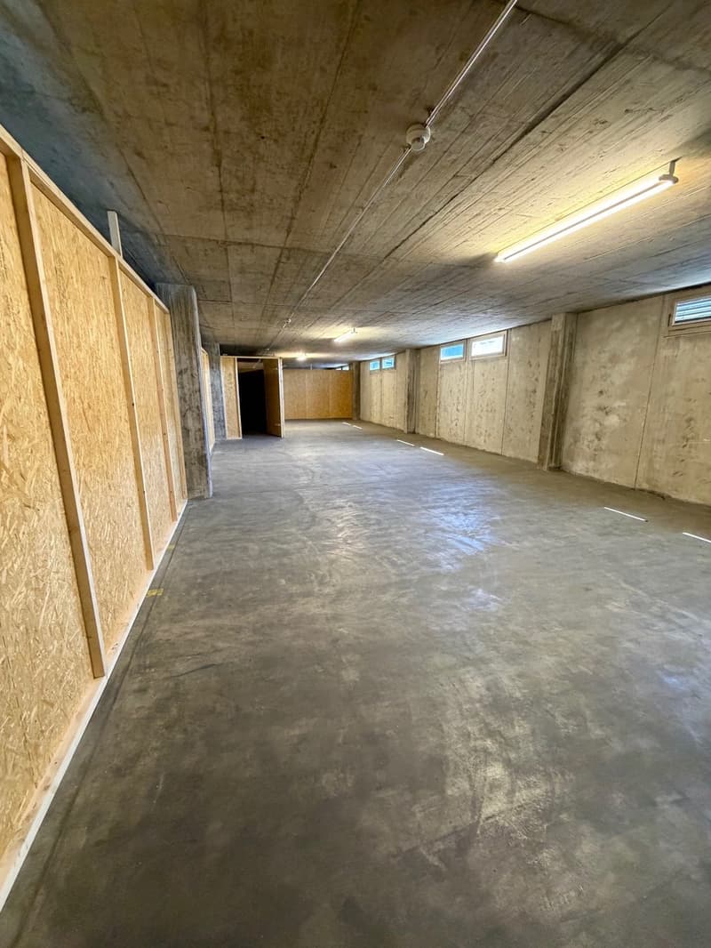 Lagerflächen an bester Lage in Muttenz – flexibel, sofort verfügbar (2)