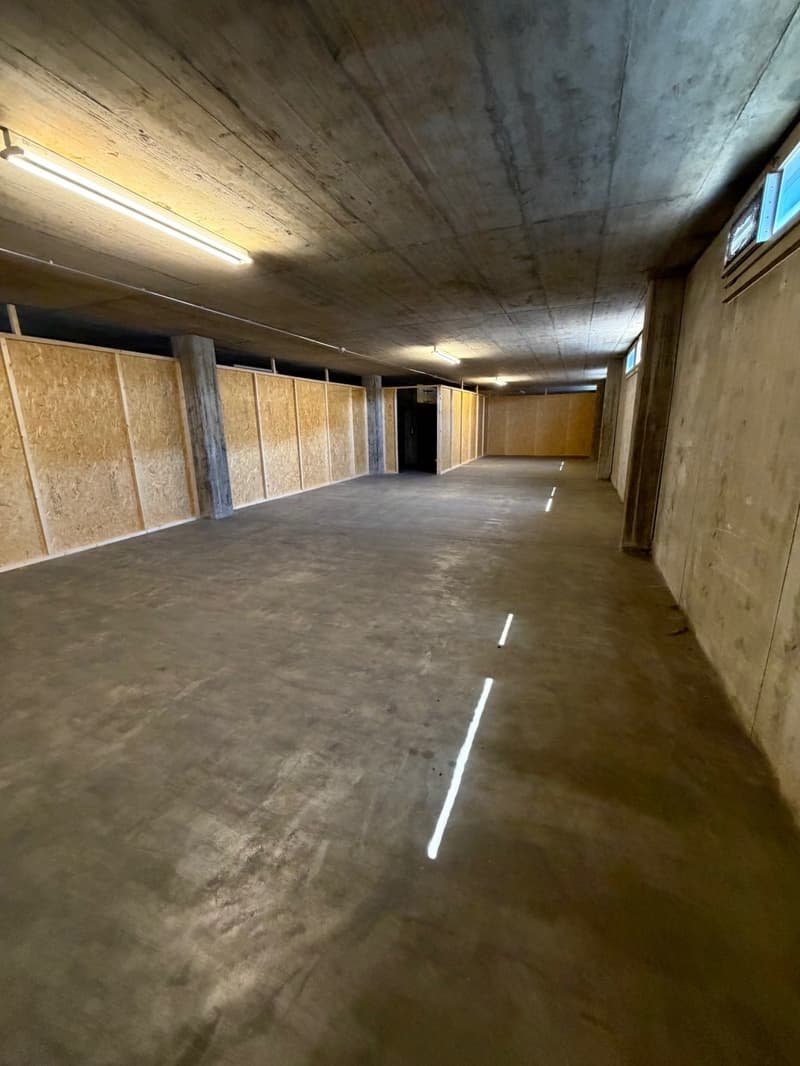 Lagerflächen an bester Lage in Muttenz – flexibel, sofort verfügbar (1)