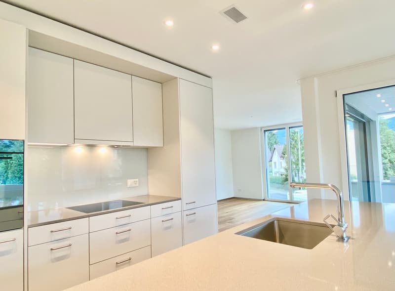 Appartamento con giardino cerca subaffittuario (2)