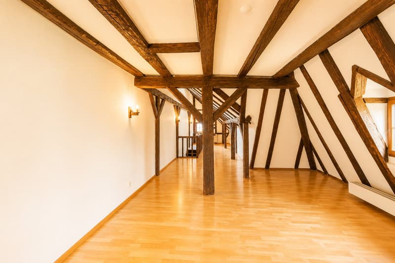 Einmalige Kaufgelegenheit am Petersplatz – historisches Stadthaus im Herzen von Basel (27)