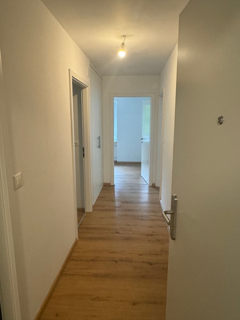 4.5-Zimmerwohnung in Rümlingen zu vermieten (5)