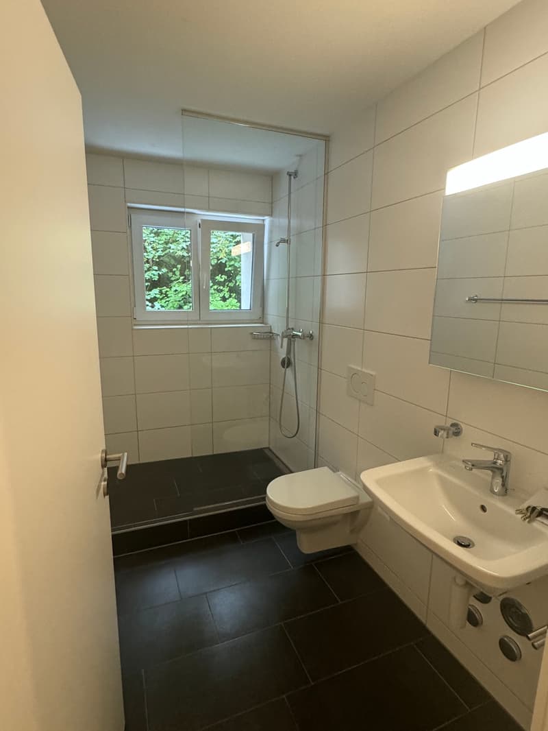 4.5-Zimmerwohnung in Rümlingen zu vermieten (4)