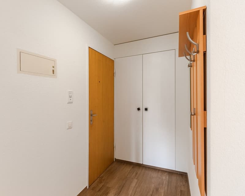 Helle 4-Zimmer-Wohnung im Erdgeschoss (HP) in Reinach BL – sofort verfügbar (3)