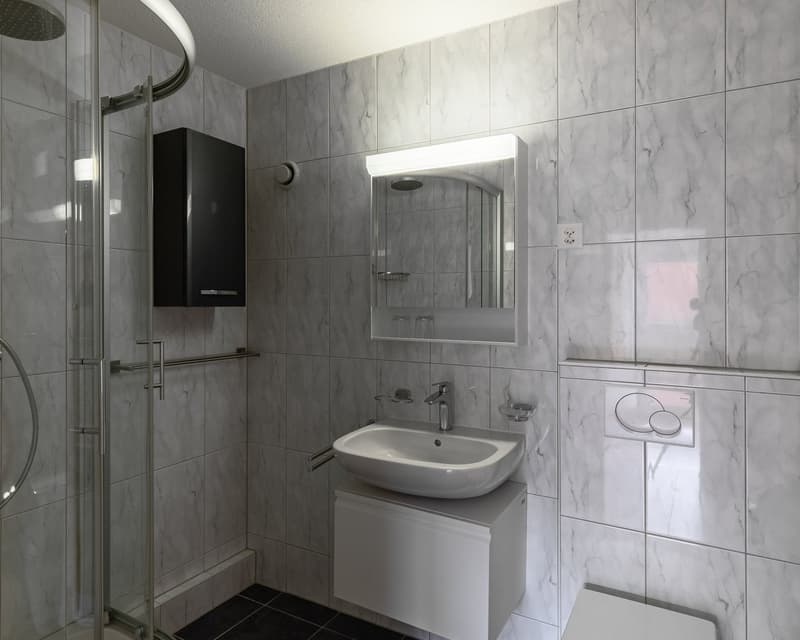 Helle 4-Zimmer-Wohnung im Erdgeschoss (HP) in Reinach BL – sofort verfügbar (8)