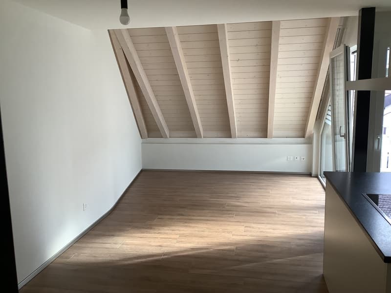 Moderne 2-Zimmerwohnung mit Balkon an zentraler Lage in Bubendorf zu vermieten (3)