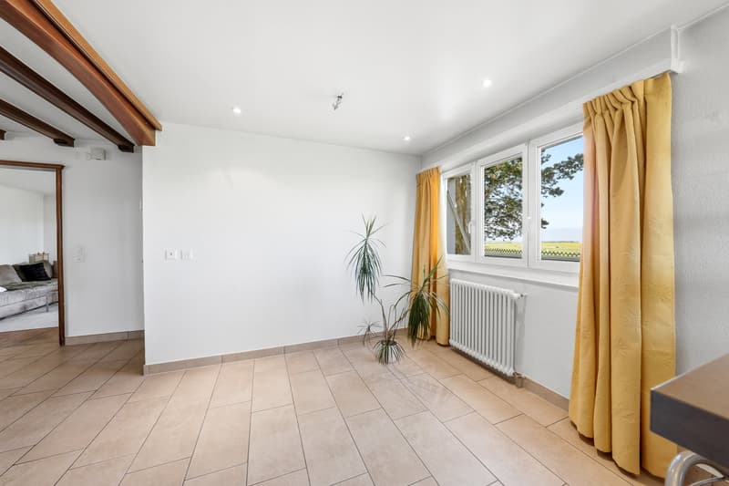 Maison individuelle de 7.5 pièces à Echallens (5)