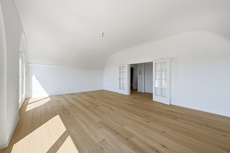 Magnifique appartement haut standing à Saint-Sulpice (3)
