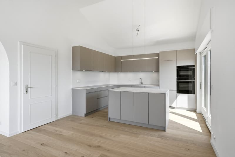 Magnifique appartement haut standing à Saint-Sulpice (4)