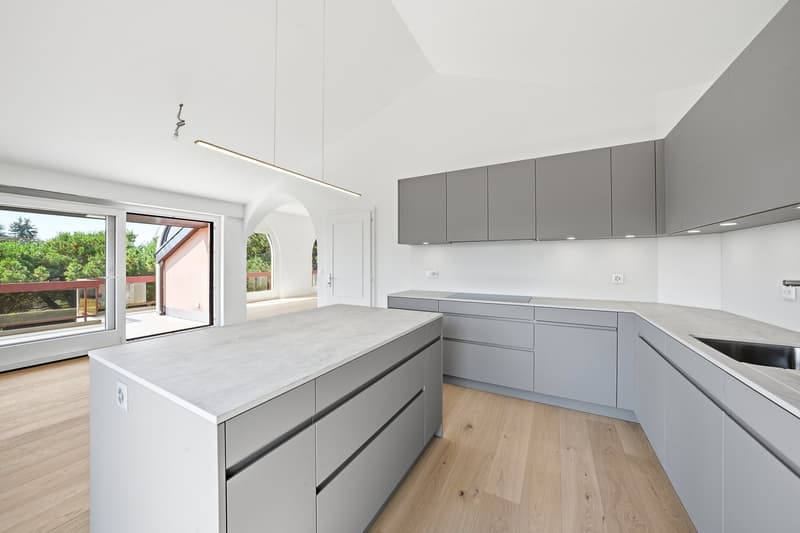 Magnifique appartement haut standing à Saint-Sulpice (6)
