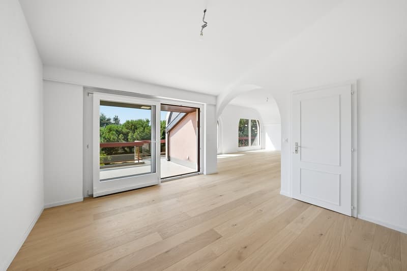 Magnifique appartement haut standing à Saint-Sulpice (7)