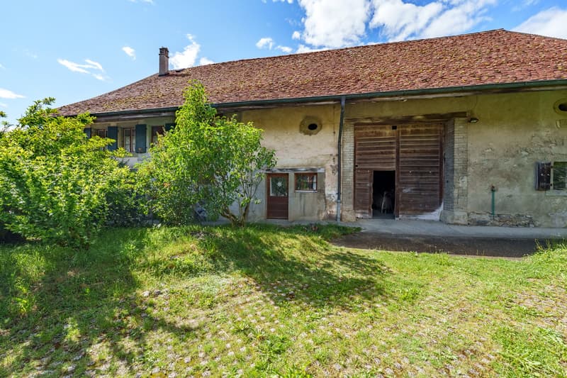 Maison individuelle de 9.5 pièces à Villars-Mendraz (3)