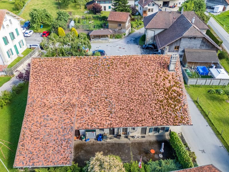 Maison villageoise à transformer (5)