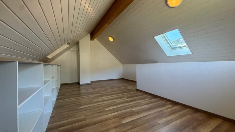 Appartement de 3,5pces + 25 m2 de mezzanine (6)