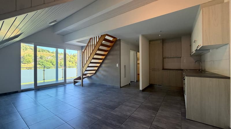 Appartement de 3,5pces + 25 m2 de mezzanine (2)