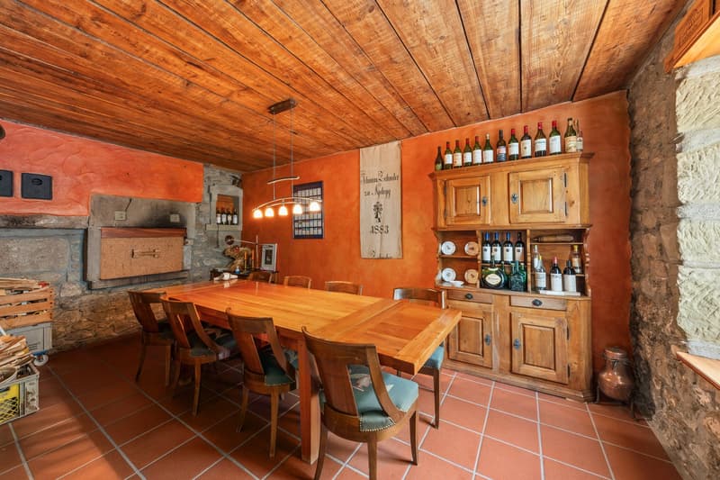 Maison individuelle de 7.5 pièces à Peney-le-Jorat (11)