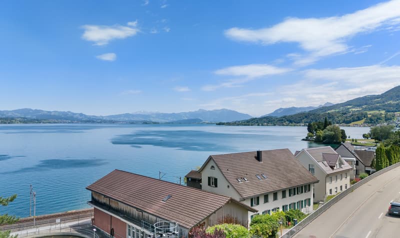 Lake Vista Richterswil (2)