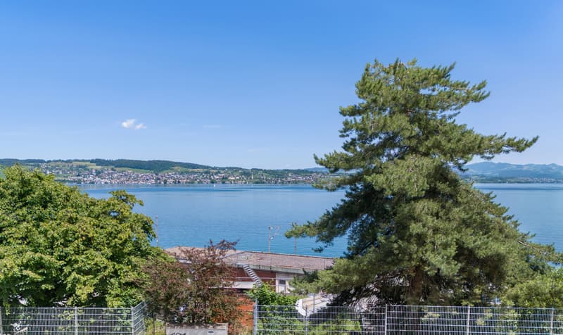 Lake Vista Richterswil (7)