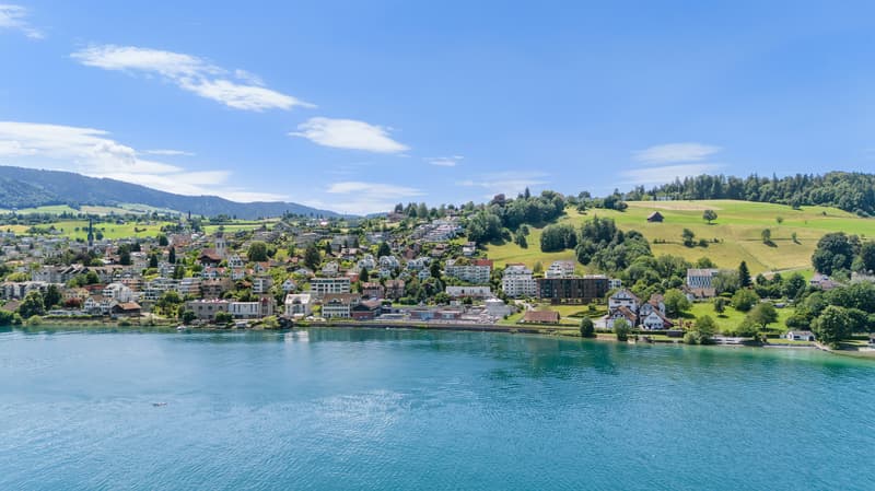 Lake Vista Richterswil (1)