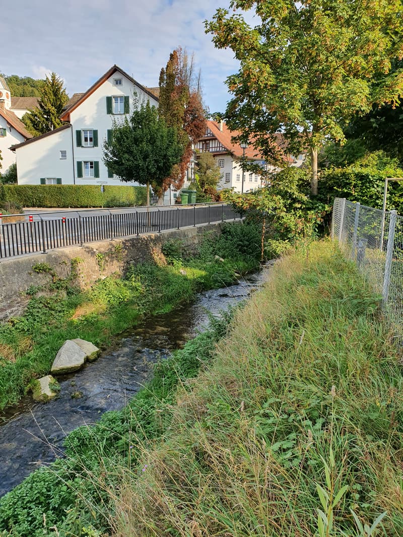 Musterbild Umgebung 2