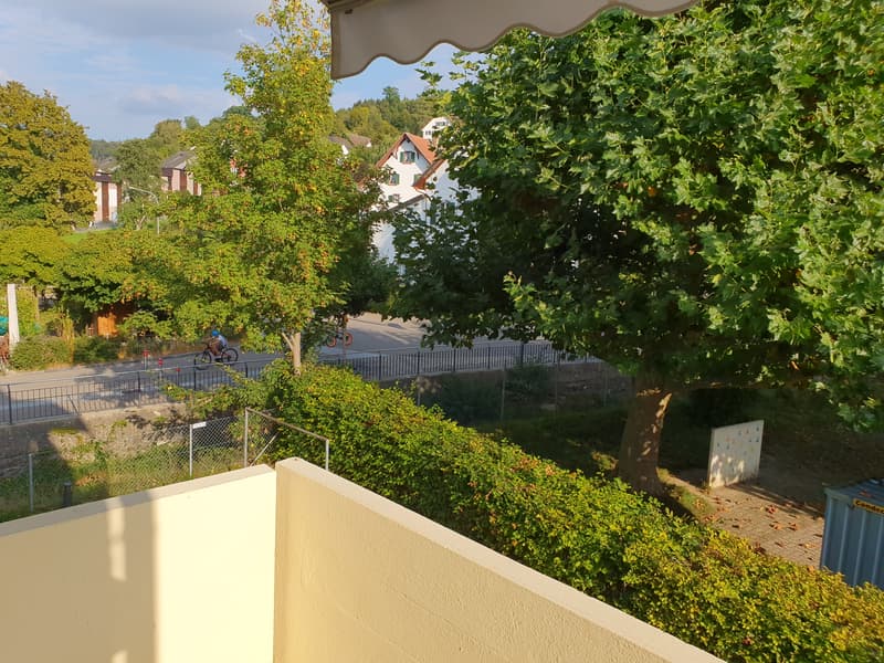 Musterbild Balkon-Umgebung