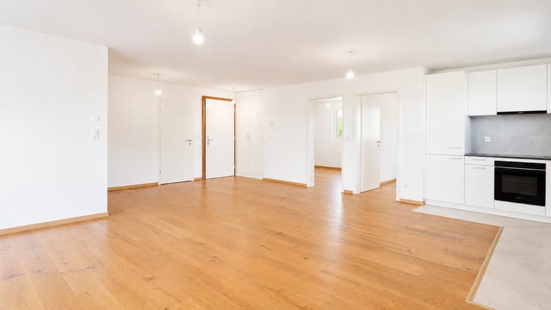 Appartement neuf de 4.5 pièces avec grand balcon et vue panoramique à Attalens (4)