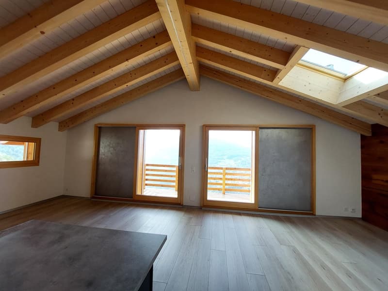 NAX / Val d'Hérens, 3 rooms, magnificent view (2)