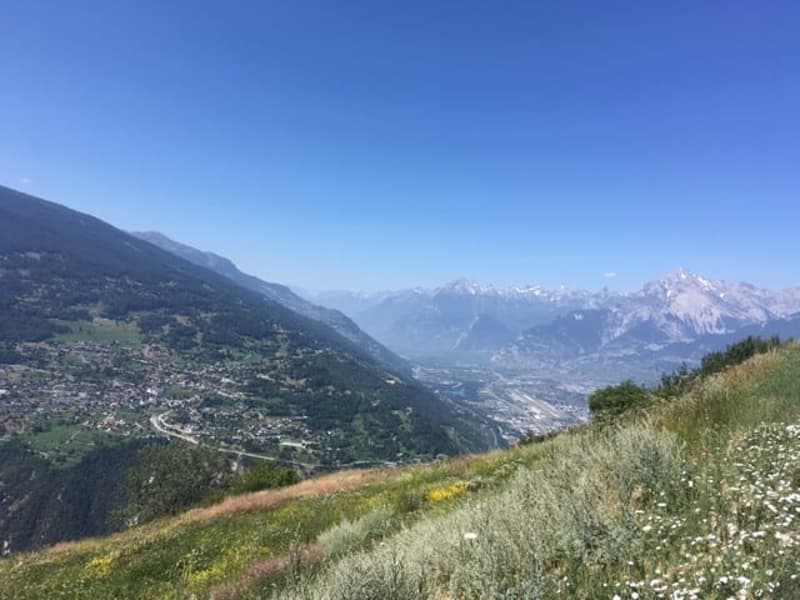 NAX / Val d'Hérens, 3 rooms, magnificent view (10)