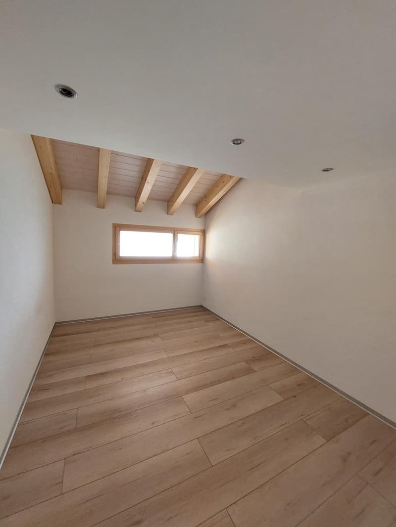 NAX / Val d'Hérens, 3 rooms, magnificent view (8)