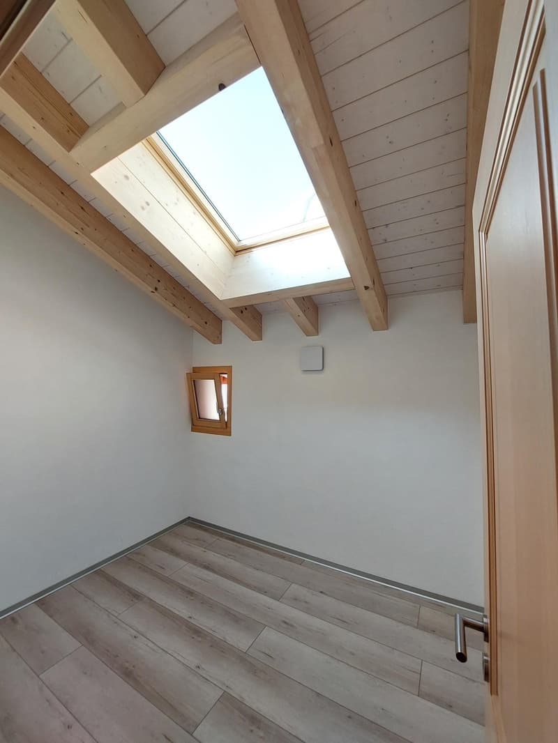 NAX / Val d'Hérens, 3 rooms, magnificent view (9)