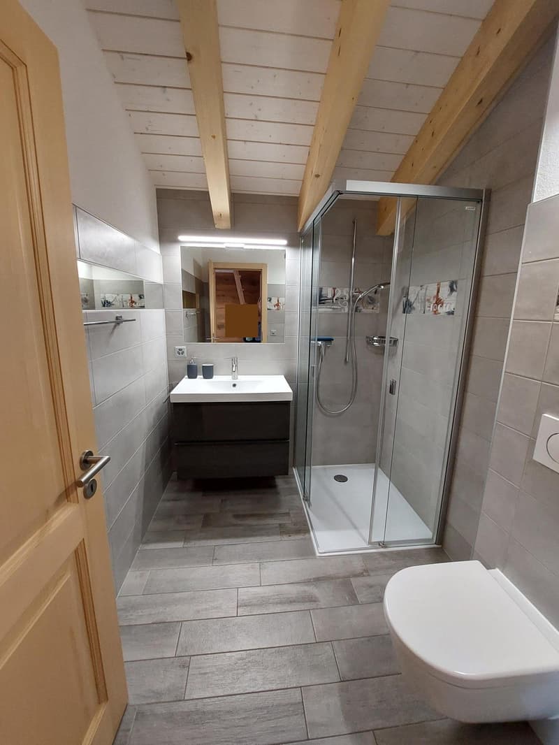 NAX / Val d'Hérens, 3 rooms, magnificent view (7)