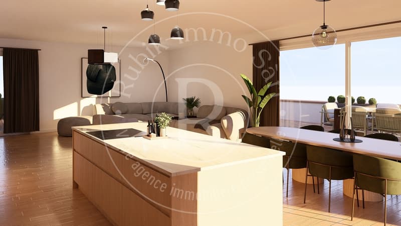 Magnifiques attiques 5,5 pièces de 162m² et terrasse de 153m² (4)